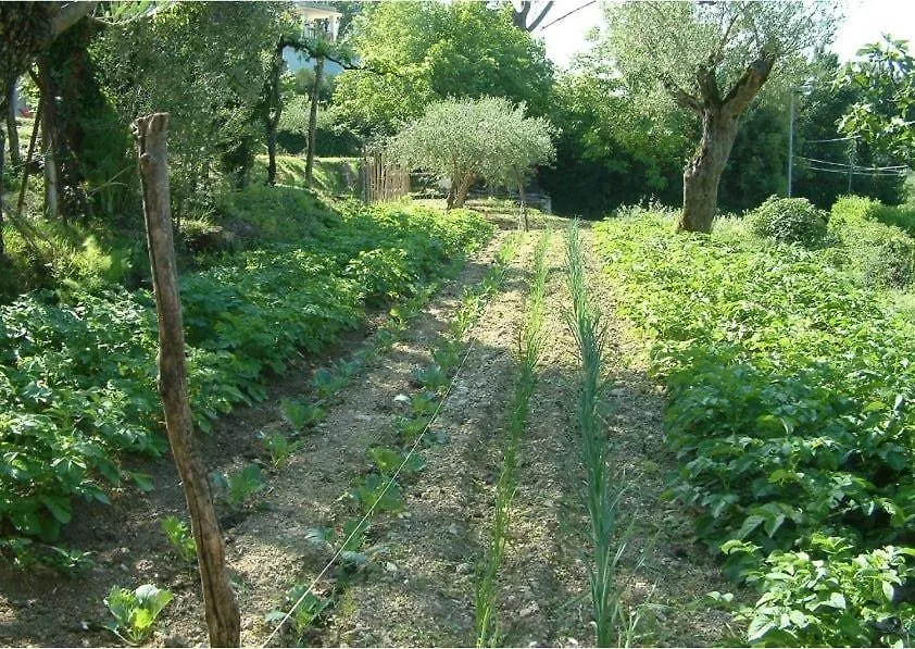 Home Holiday Vincland San Michele  Holiday home